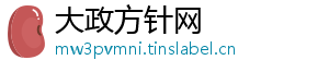 大政方针网